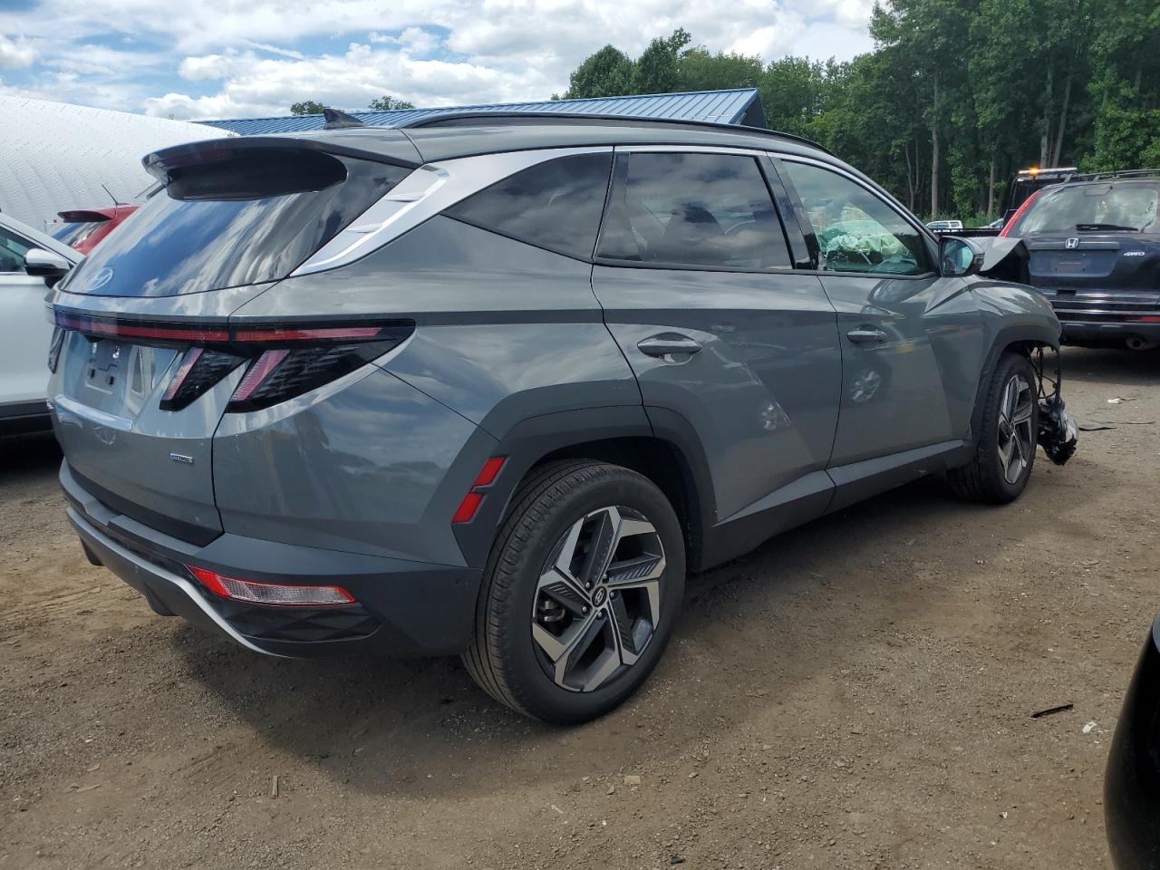 2024 Hyundai Tucson Limited VIN: 5NMJECDE2RH361286 Lot: 65903705