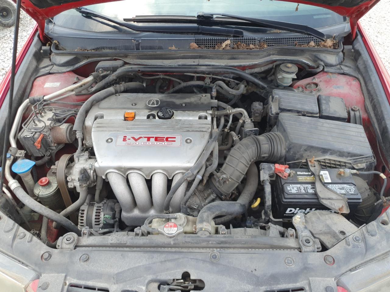 2008 Acura Tsx VIN: JH4CL96858C007539 Lot: 64852605