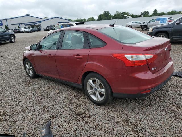  FORD FOCUS 2014 Burgundy