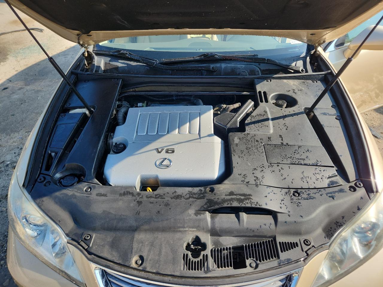 2008 Lexus Es 350 VIN: JTHBJ46G282164317 Lot: 64437995