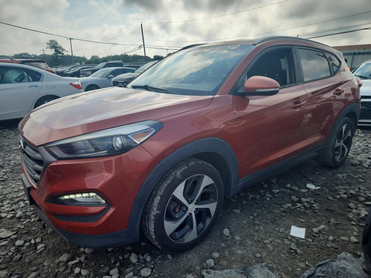 2016 Hyundai Tucson Limited VIN: KM8J3CA22GU169318 Lot: 64614515