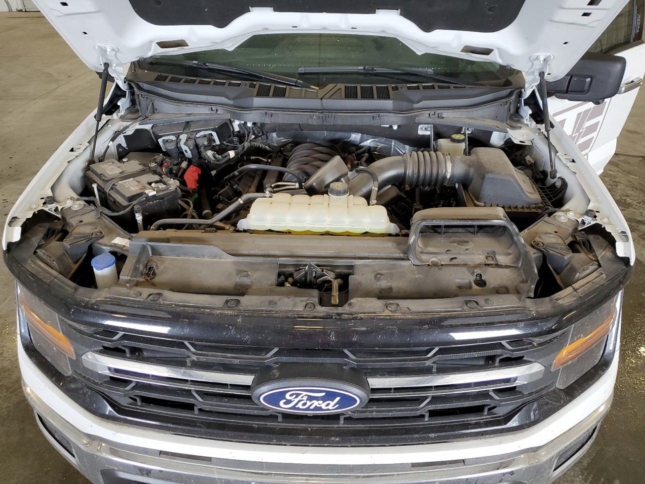 2024 Ford F150 Xlt VIN: 1FTFW3L56RKE25953 Lot: 65293805