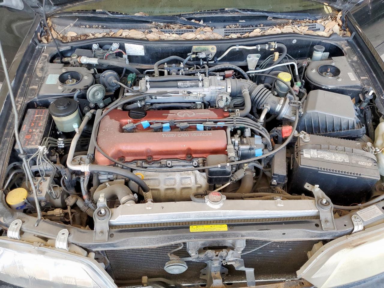1999 Infiniti G20 VIN: JNKCP11A6XT012859 Lot: 64179555