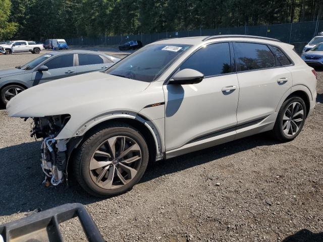AUDI E-TRON – zdjęcie z aukcji, lot #66111105