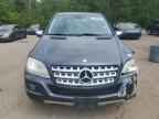 2010 MERCEDES-BENZ ML 350 BLUETEC   for sale at Copart ON - COOKSTOWN