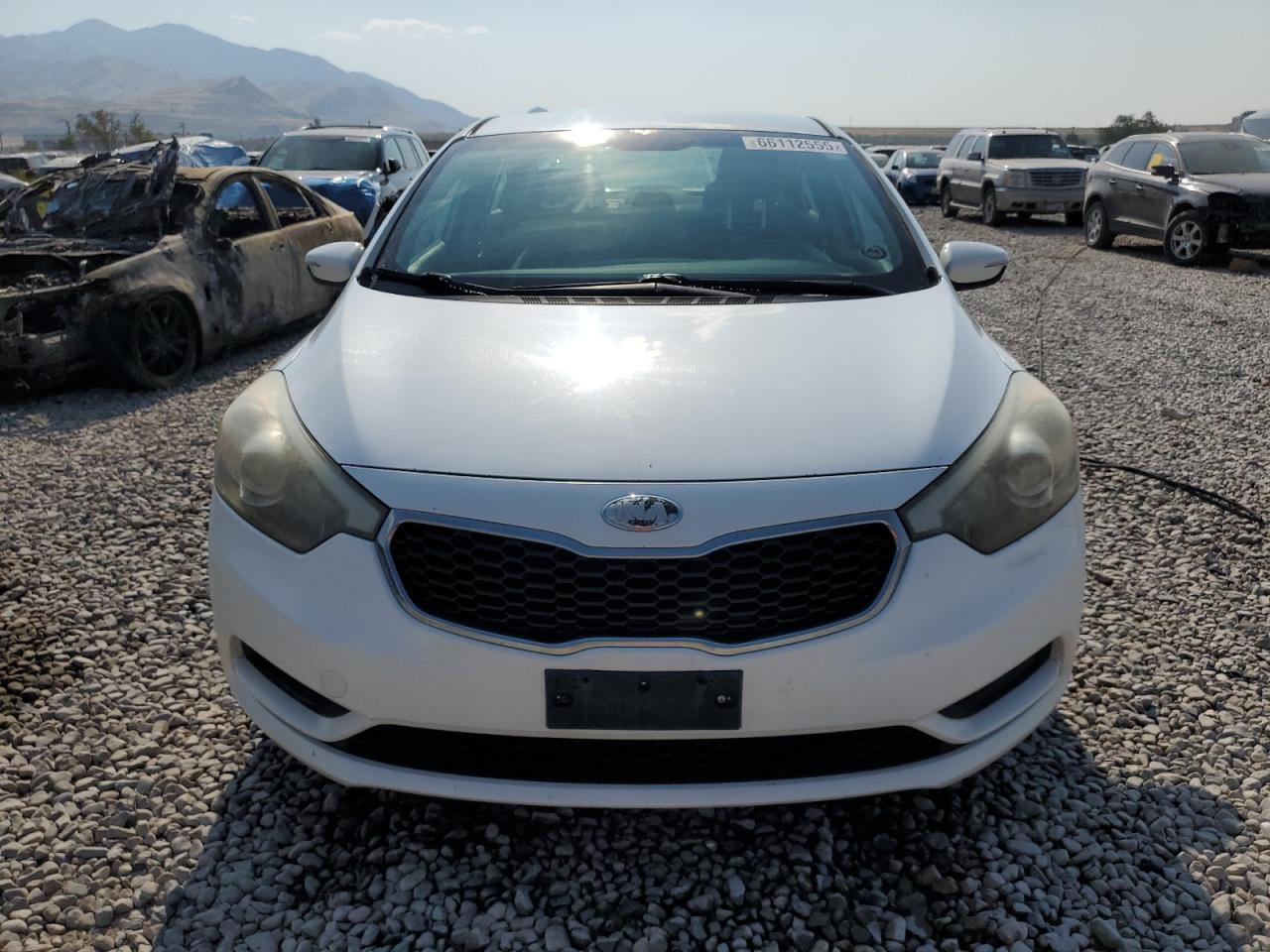 2014 Kia Forte Lx VIN: KNAFX4A68E5095916 Lot: 66112555