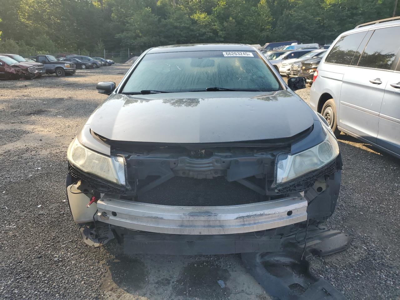 2009 Acura Tl VIN: 19UUA86569A004823 Lot: 66263245