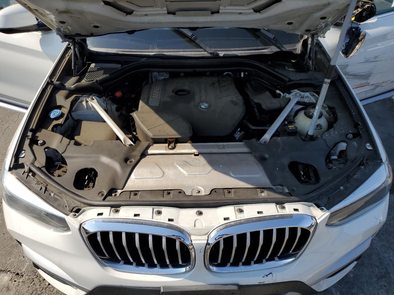 2019 BMW X3 Sdrive30I VIN: 5UXTR7C55KLR51121 Lot: 64896845