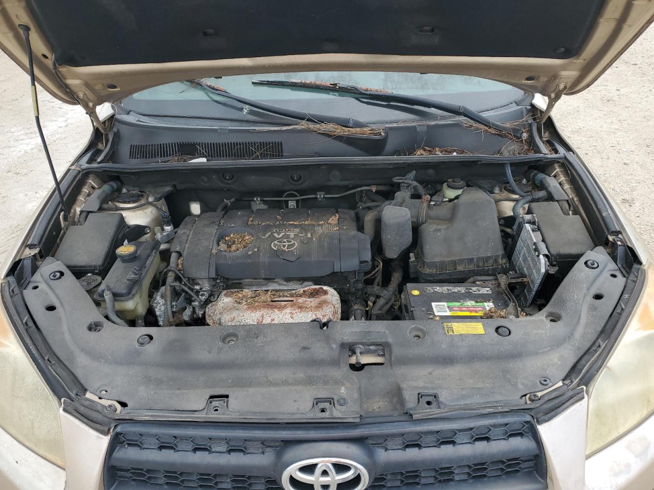 2009 Toyota Rav4 VIN: JTMZF33V695005721 Lot: 65390655