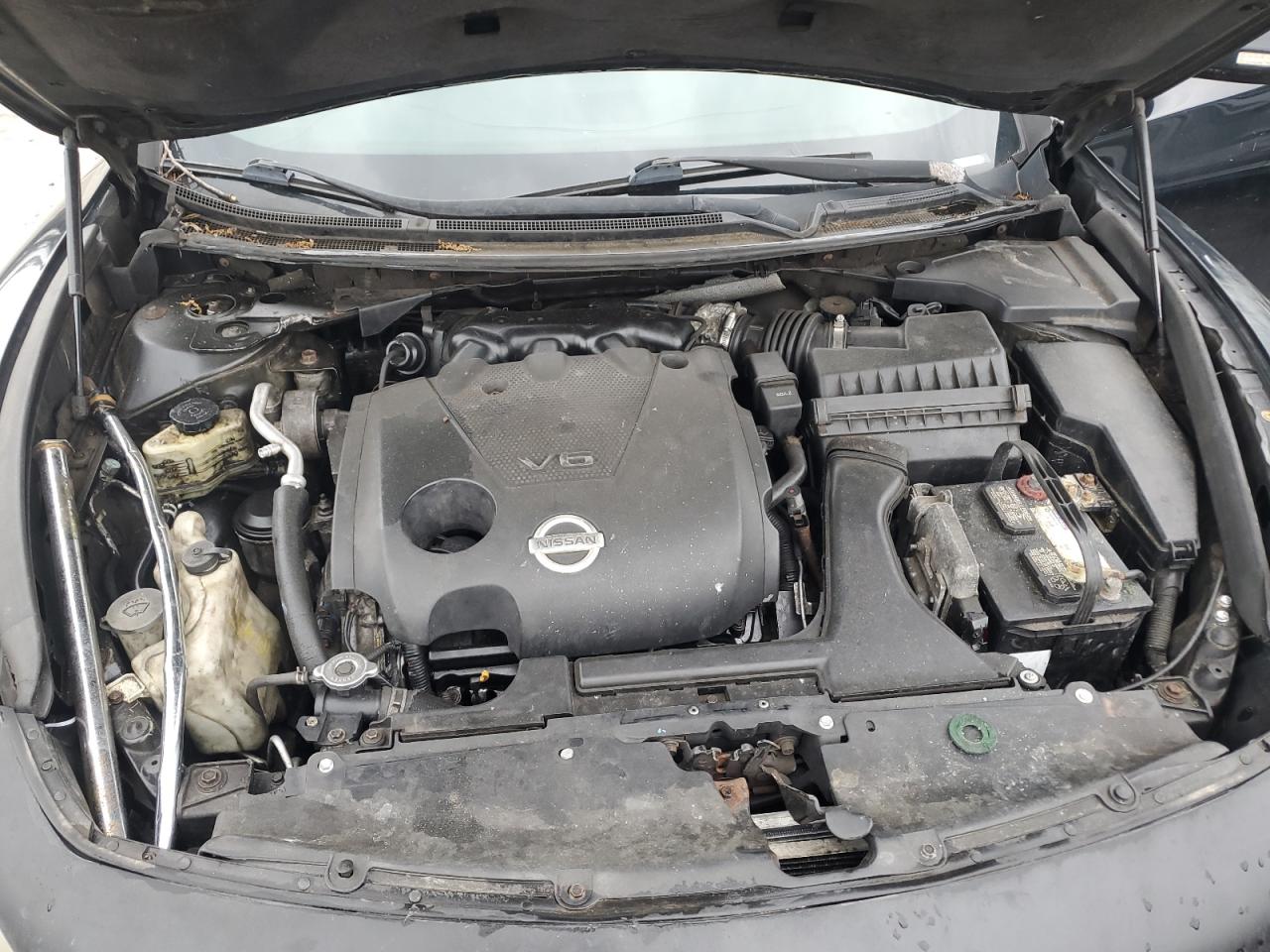 2009 Nissan Maxima S VIN: 1N4AA51E09C823845 Lot: 62519685