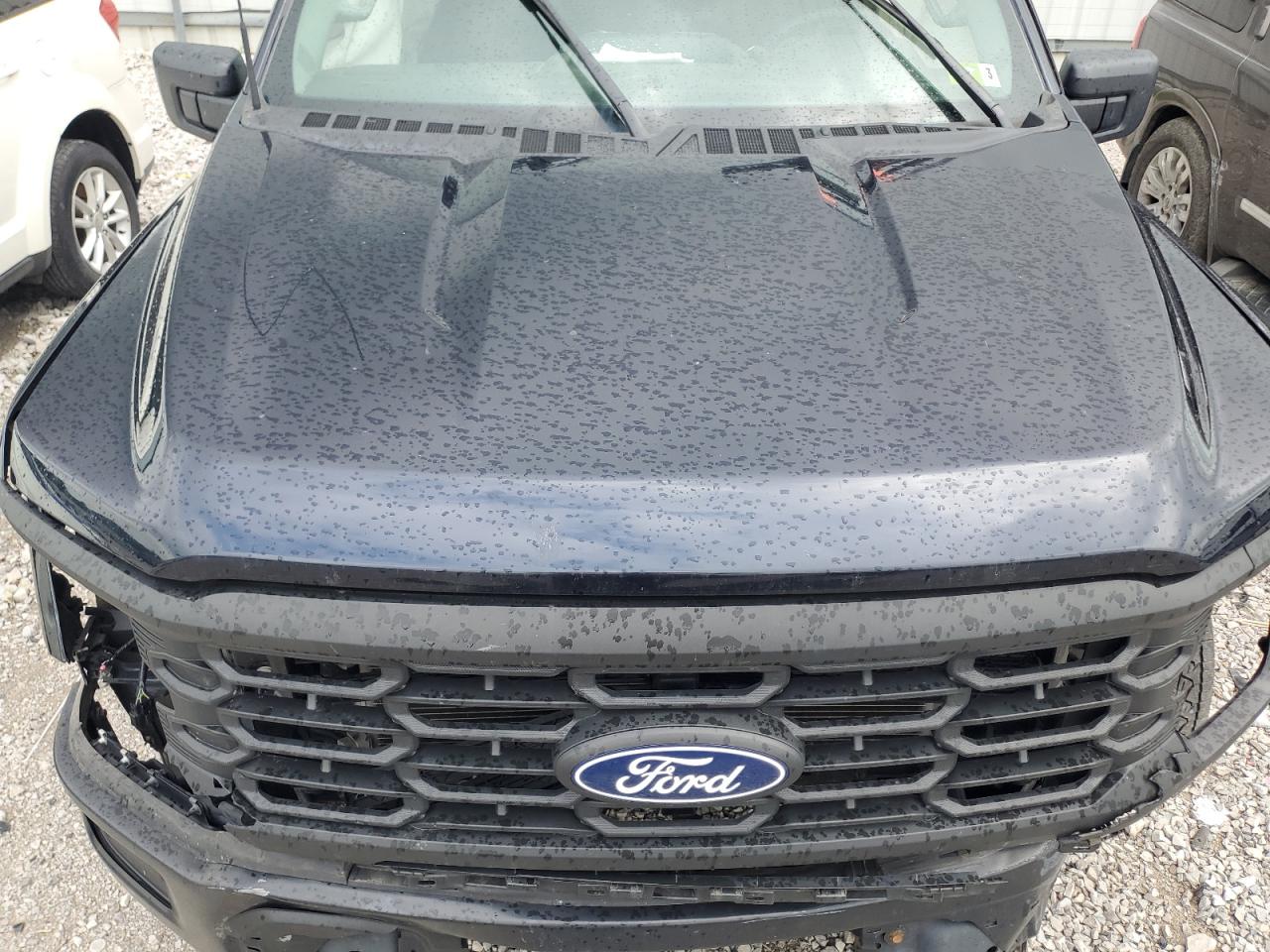 2024 Ford F150 Xl VIN: 1FTFW1L59RKD16469 Lot: 62662655