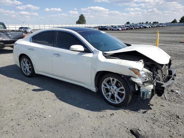  NISSAN MAXIMA 2014 Biały