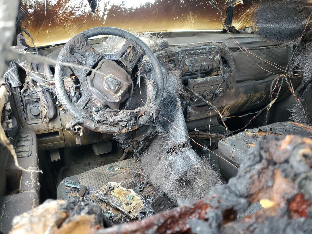 2009 Dodge Ram 1500 VIN: 1D3HV13T39S789074 Lot: 66367435