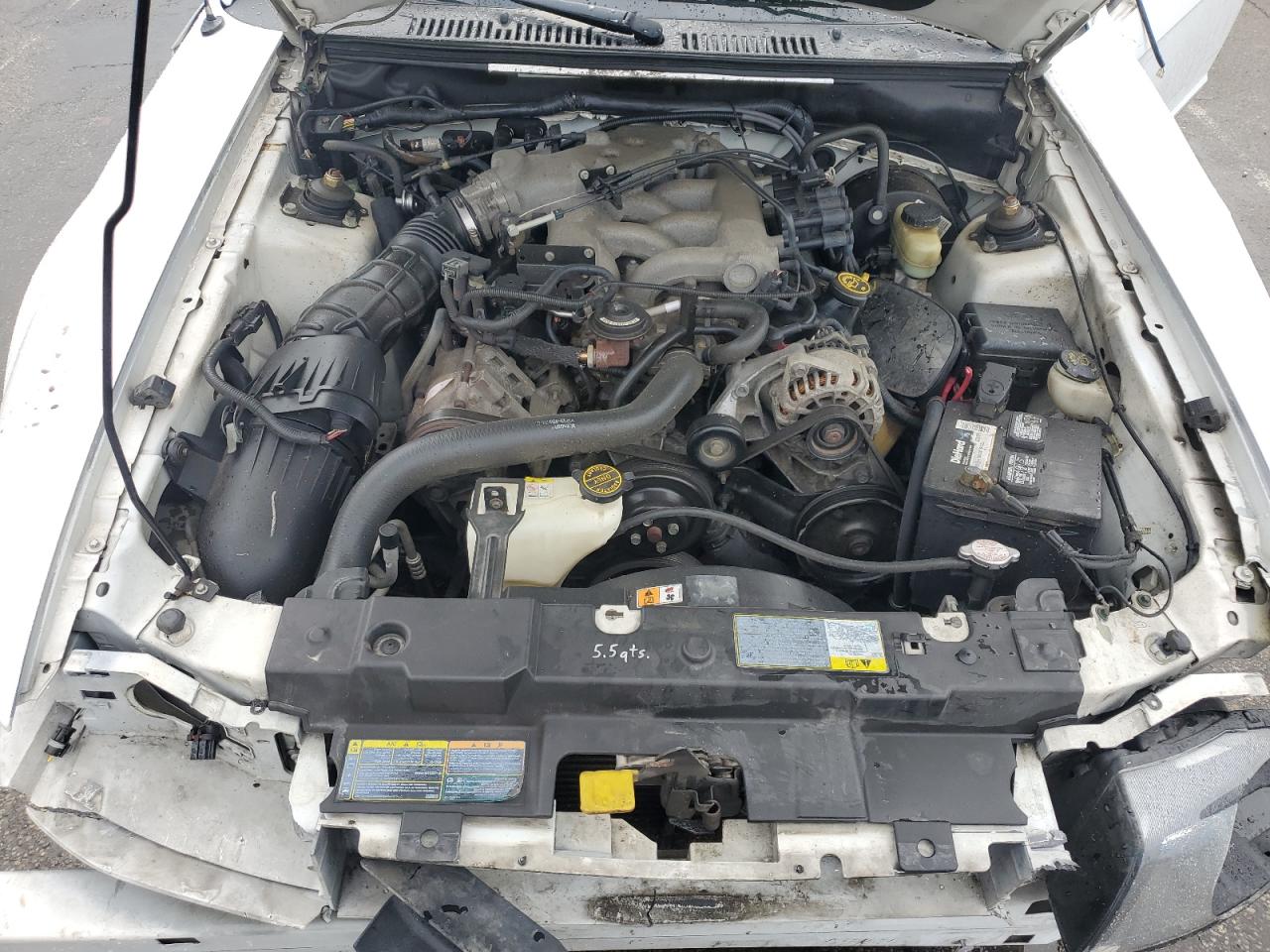 2001 Ford Mustang VIN: 1FAFP44461F254021 Lot: 64942415