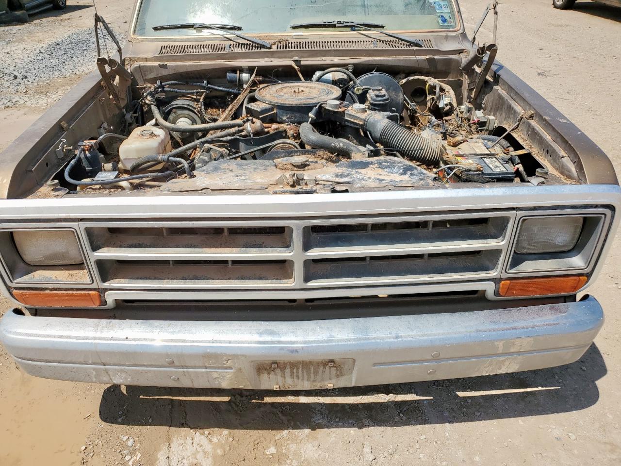 1988 Dodge D-Series D150 VIN: 1B7HD14W8JS789371 Lot: 64666265
