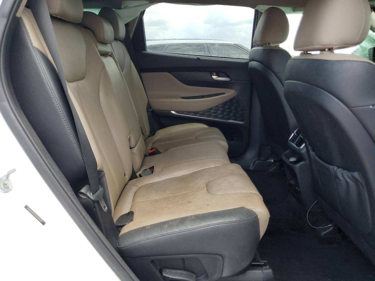 2019 Hyundai Santa Fe Limited VIN: 5NMS53AA1KH108309 Lot: 63513445