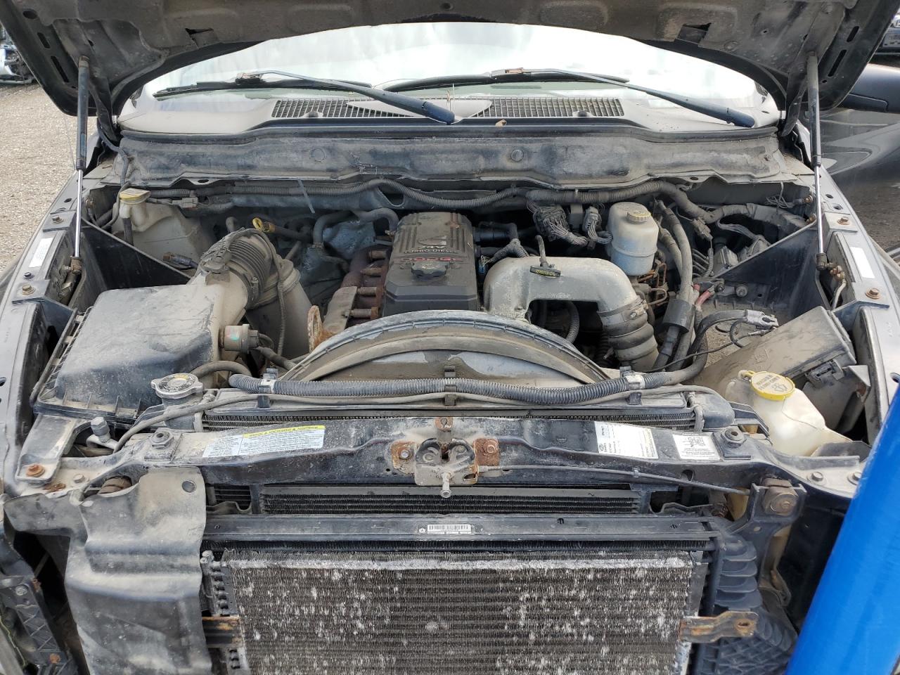 2007 Dodge Ram 2500 VIN: 3D7KS29C17G755844 Lot: 65063535