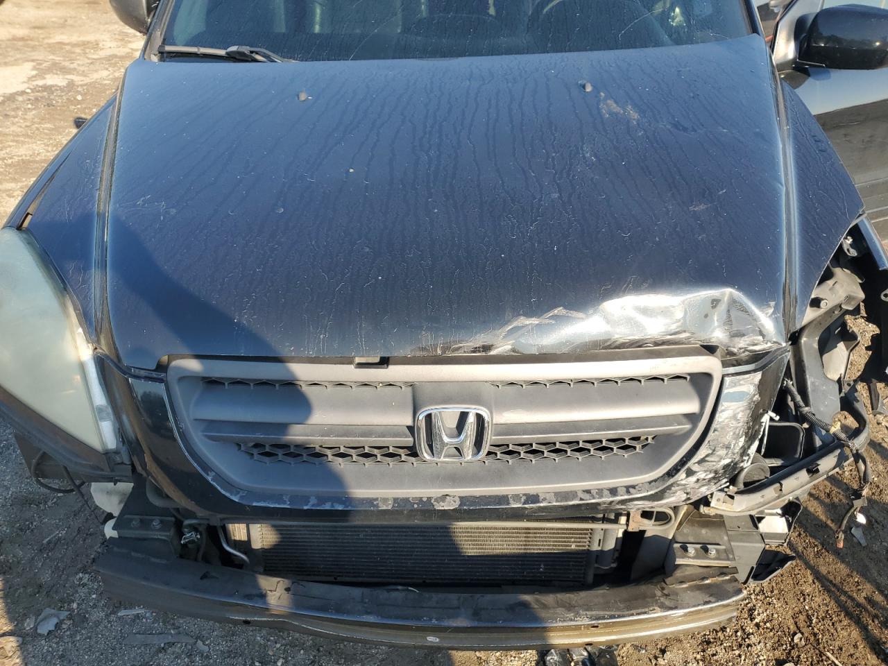 2005 Honda Pilot Exl VIN: 5FNYF18525B029693 Lot: 63383965