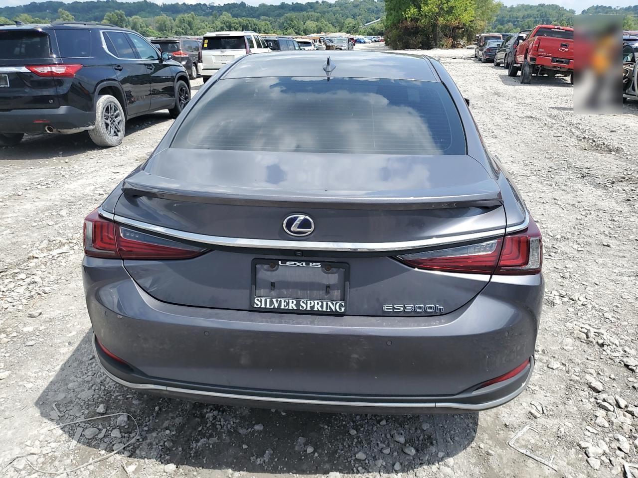 2020 Lexus Es 300H Luxury VIN: 58AE21B18LU005315 Lot: 66000895