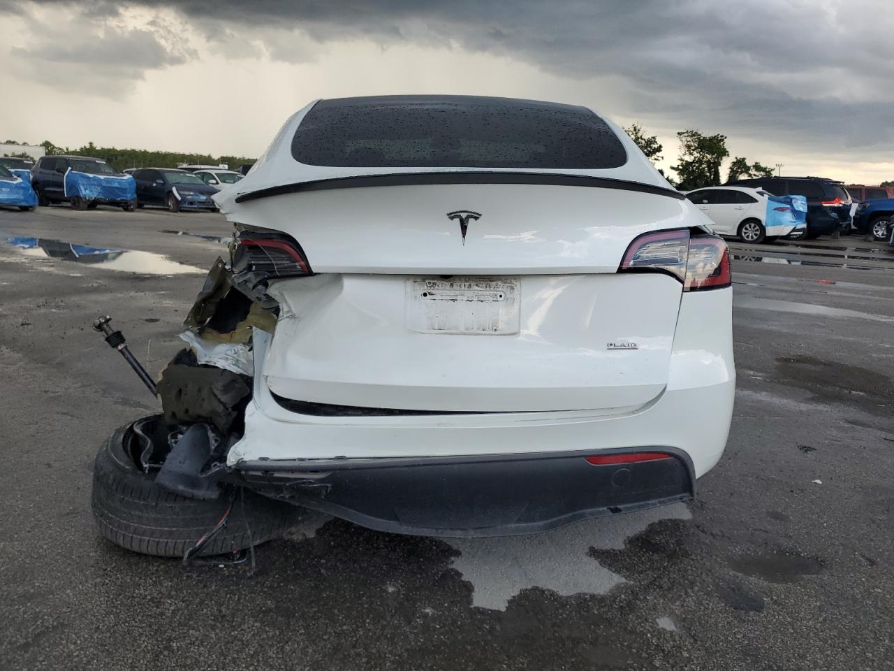 2023 Tesla Model Y VIN: 7SAYGDEF2PF831923 Lot: 63479905