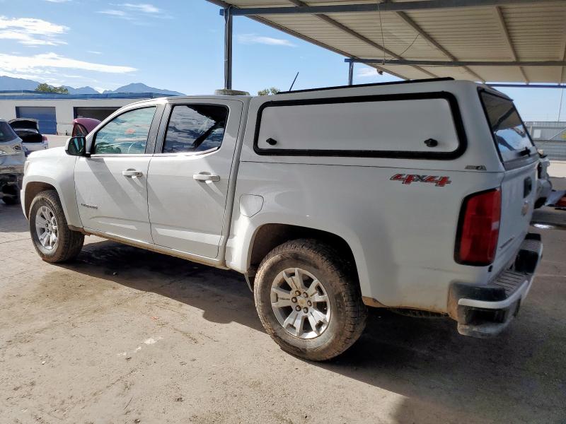  CHEVROLET COLORADO 2019 Biały