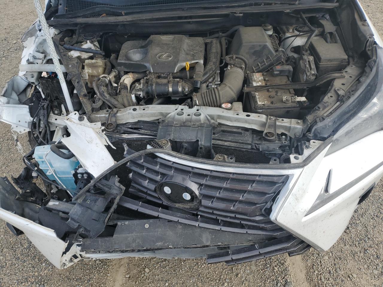 2019 Lexus Nx 300 Base VIN: JTJBARBZ4K2196132 Lot: 66678495