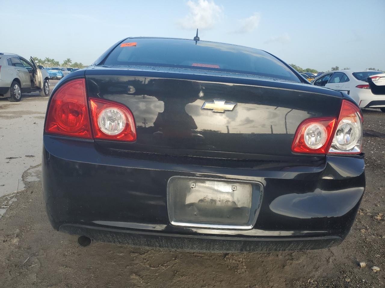 2010 Chevrolet Malibu 1Lt VIN: 1G1ZC5EB9AF313691 Lot: 65723465