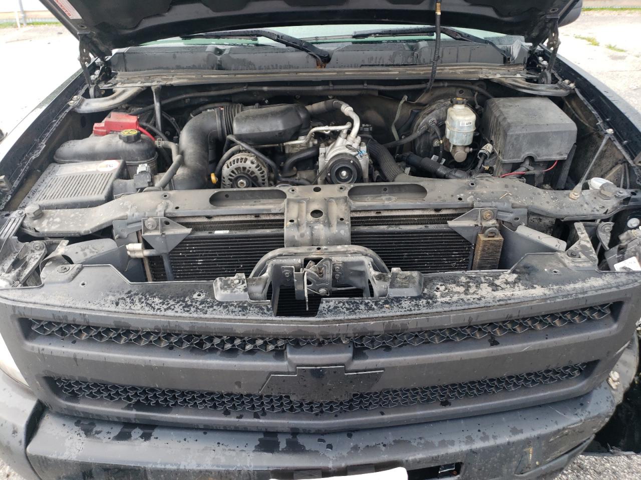 2013 Chevrolet Silverado C1500 VIN: 1GCRCPEX6DZ165047 Lot: 65367655