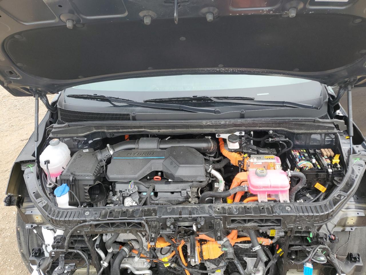 2025 Kia Carnival Ex VIN: KNDNC5KA5S6043474 Lot: 63370355