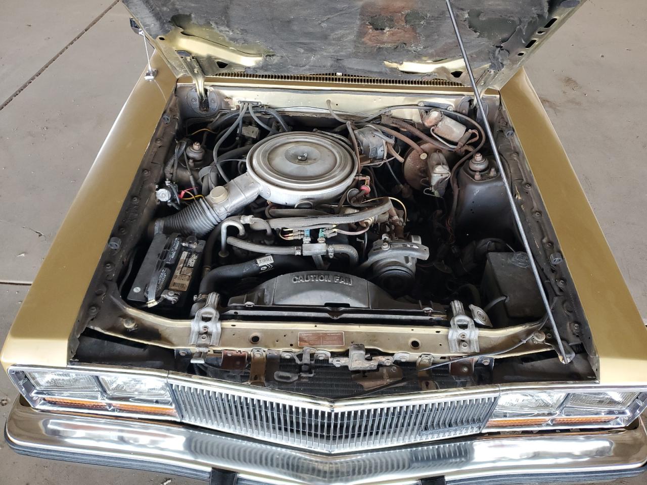 1981 Mercury Zephyr VIN: 1MEBP71B5BK602542 Lot: 63474705