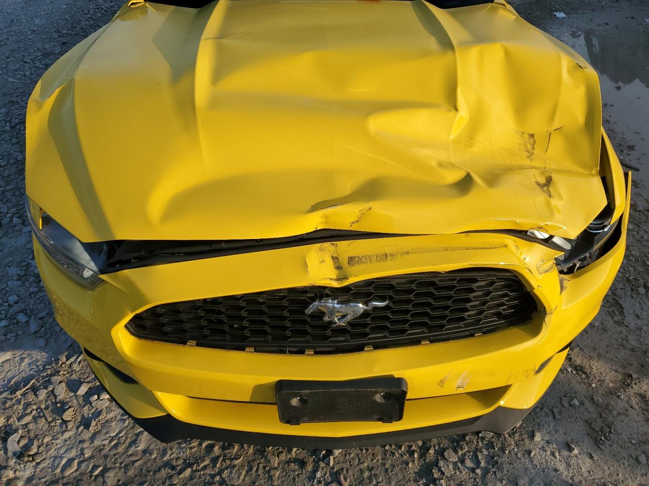 2016 Ford Mustang VIN: 1FATP8UHXG5253840 Lot: 64313995