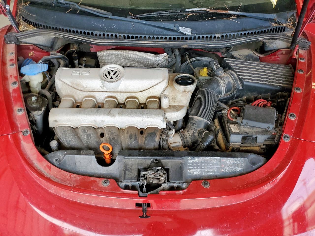2009 Volkswagen New Beetle S VIN: 3VWRW31C49M507250 Lot: 64435715