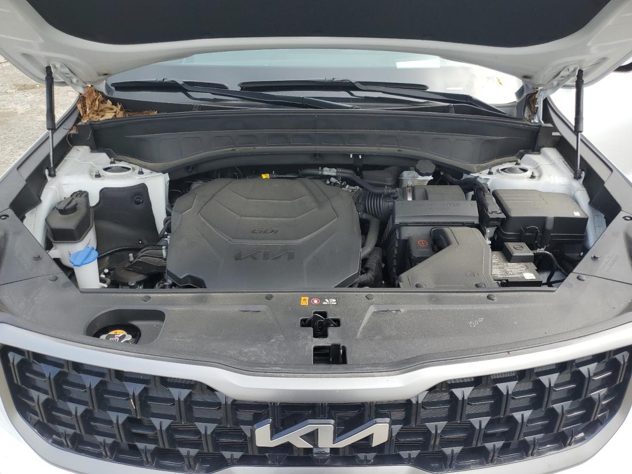 2023 Kia Telluride Sx VIN: 5XYP5DGC4PG409789 Lot: 63911175