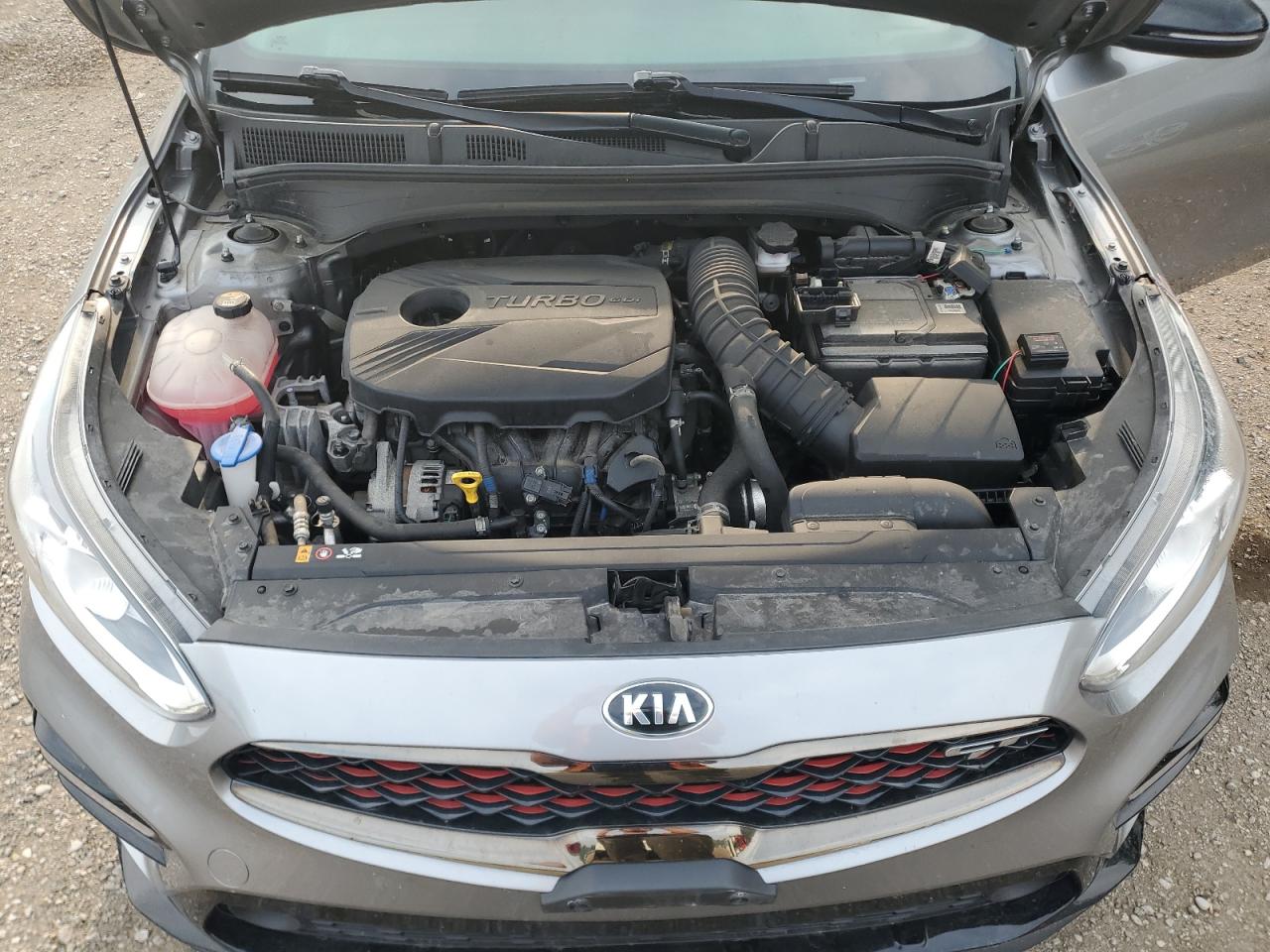 2021 Kia Forte Gt VIN: 3KPF44AC7ME407194 Lot: 63903415