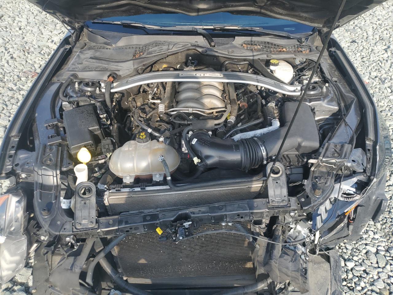 1FA6P8CF2K5116462 FORD MUSTANG 2019