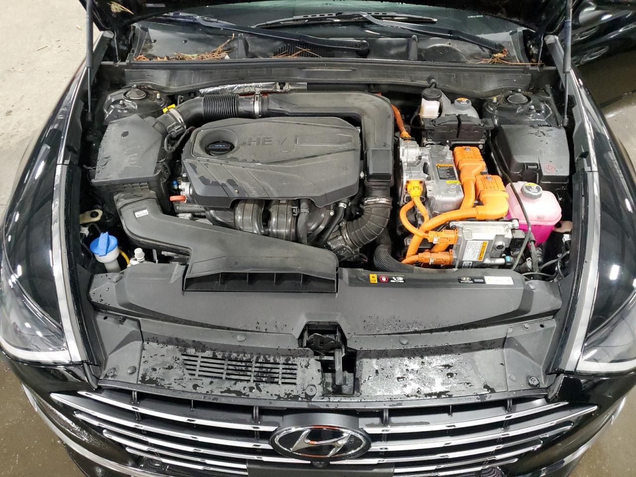 2021 Hyundai Sonata Hybrid VIN: KMHL54JJ1MA021562 Lot: 63799995