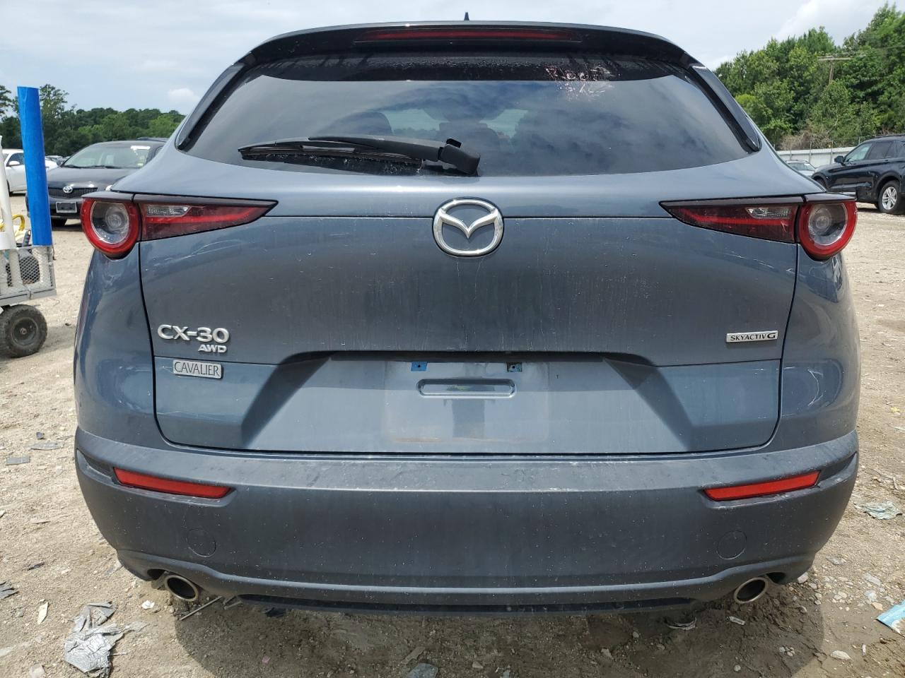 2021 Mazda Cx-30 Premium VIN: 3MVDMBDL6MM310113 Lot: 63398415