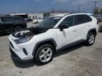 2021 TOYOTA RAV4 LE   for sale at Copart CA - SUN VALLEY