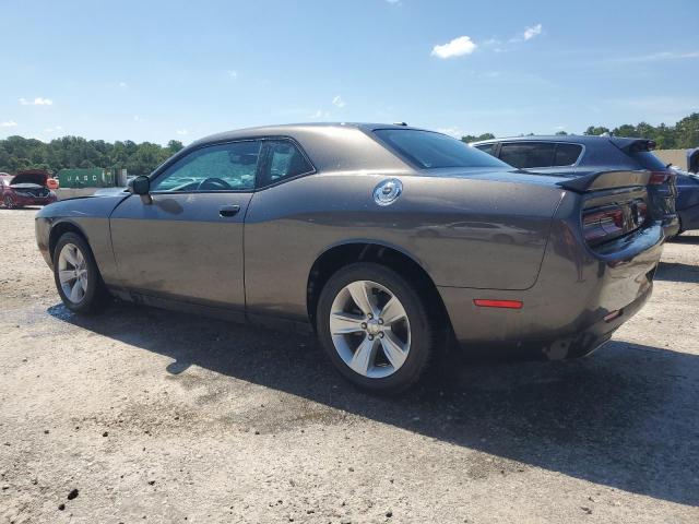  DODGE CHALLENGER 2023 Gray