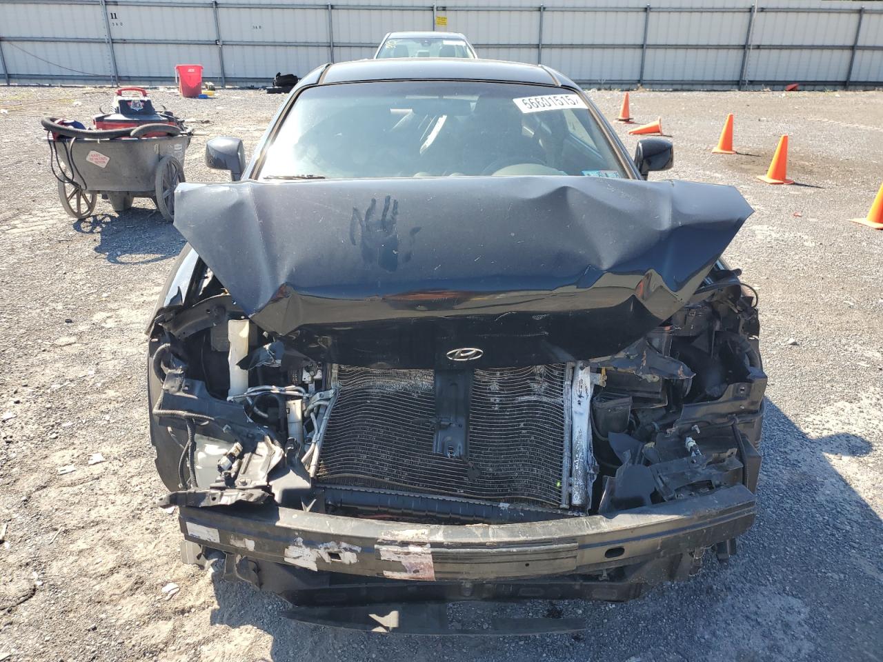 2008 Hyundai Tiburon Gs VIN: KMHHM66D08U000000 Lot: 66601515