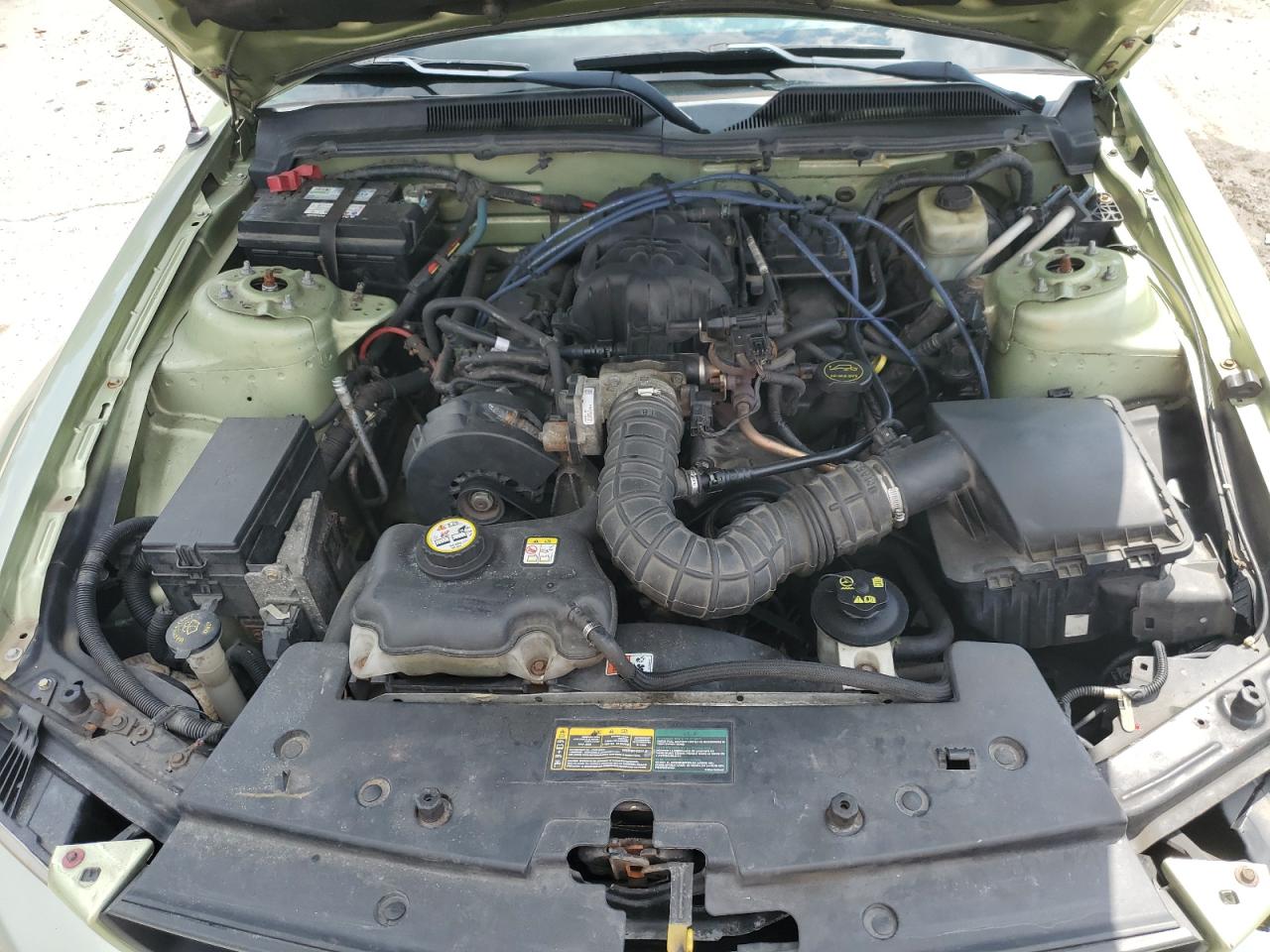 2005 Ford Mustang VIN: 1ZVFT80N255179676 Lot: 65148535