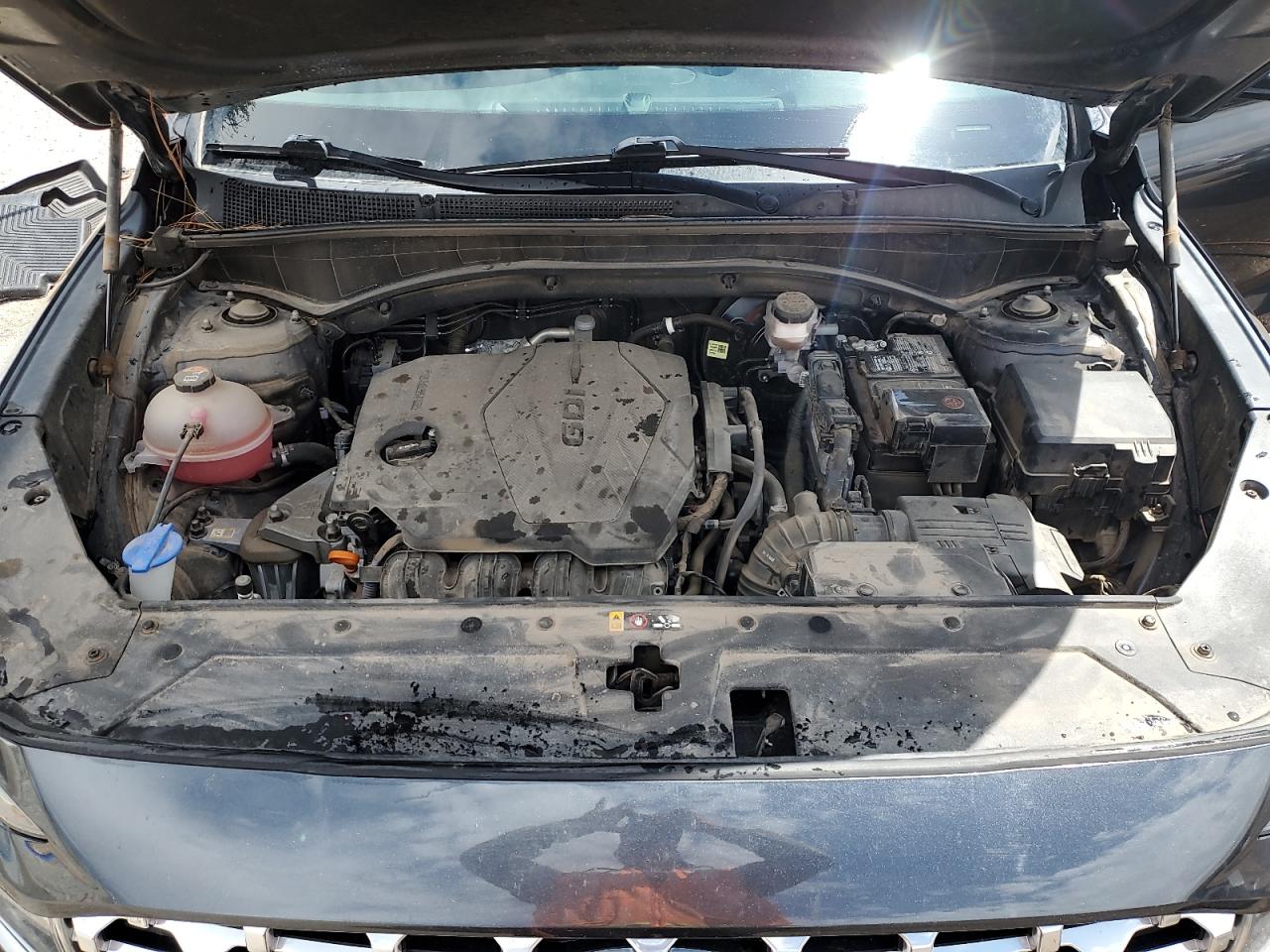 2021 Hyundai Santa Fe Sel VIN: 5NMS3DAJ8MH349041 Lot: 64403015
