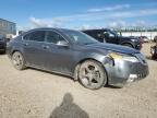 2009 ACURA TL    for sale at Copart AB - EDMONTON
