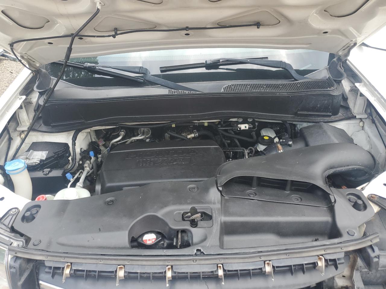 2014 Honda Pilot Exl VIN: 5FNYF4H57EB037080 Lot: 63760545