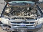 2011 FORD ESCAPE XLT   for sale at Copart ON - COOKSTOWN