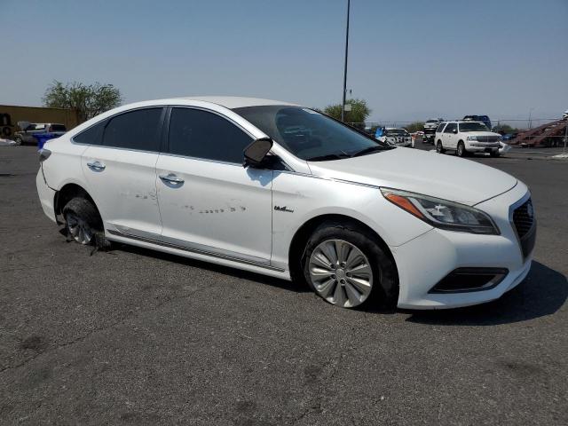  HYUNDAI SONATA 2017 Белы