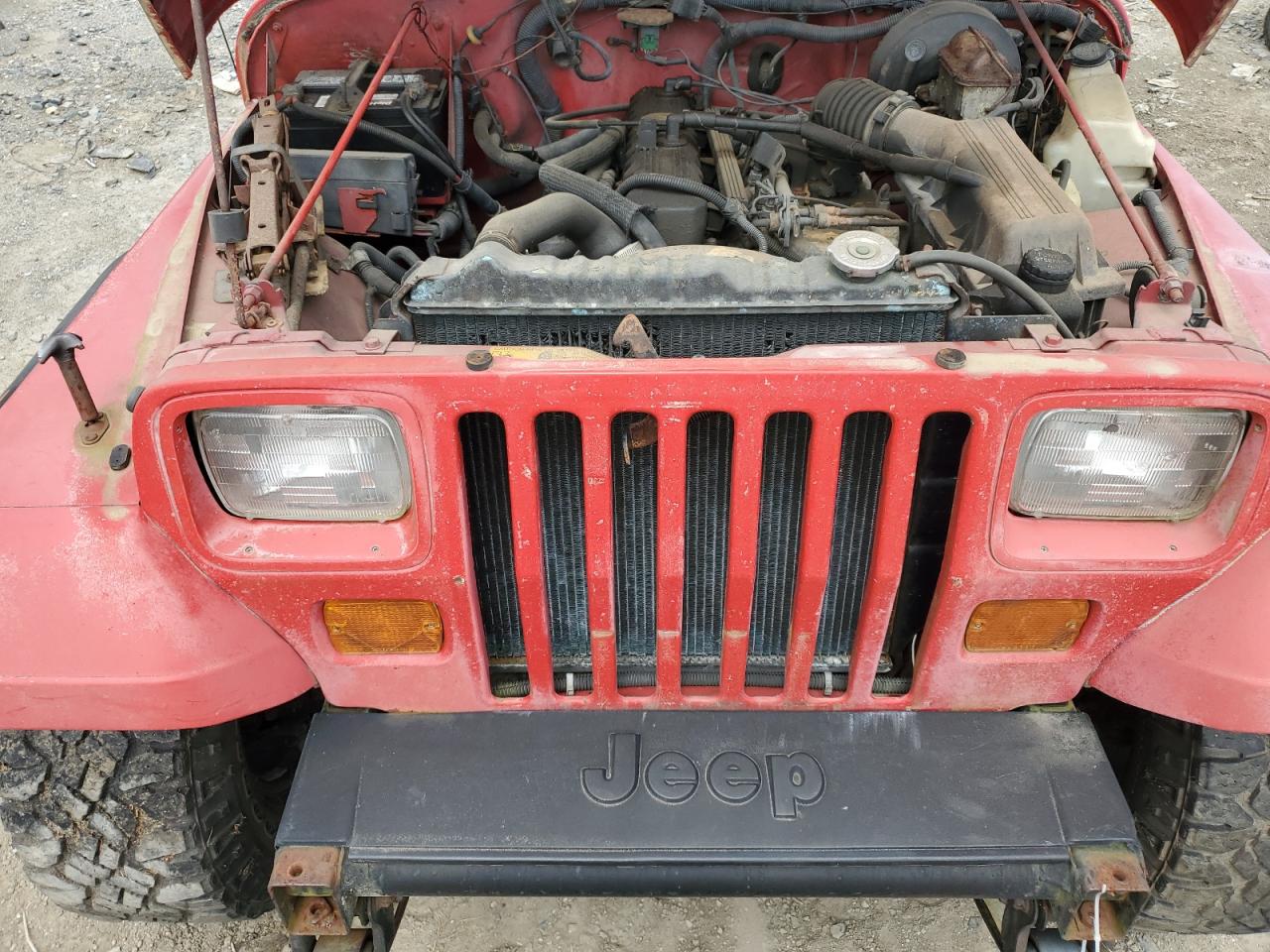 1993 Jeep Wrangler / Yj VIN: 1J4FY29S2PP243582 Lot: 65687695
