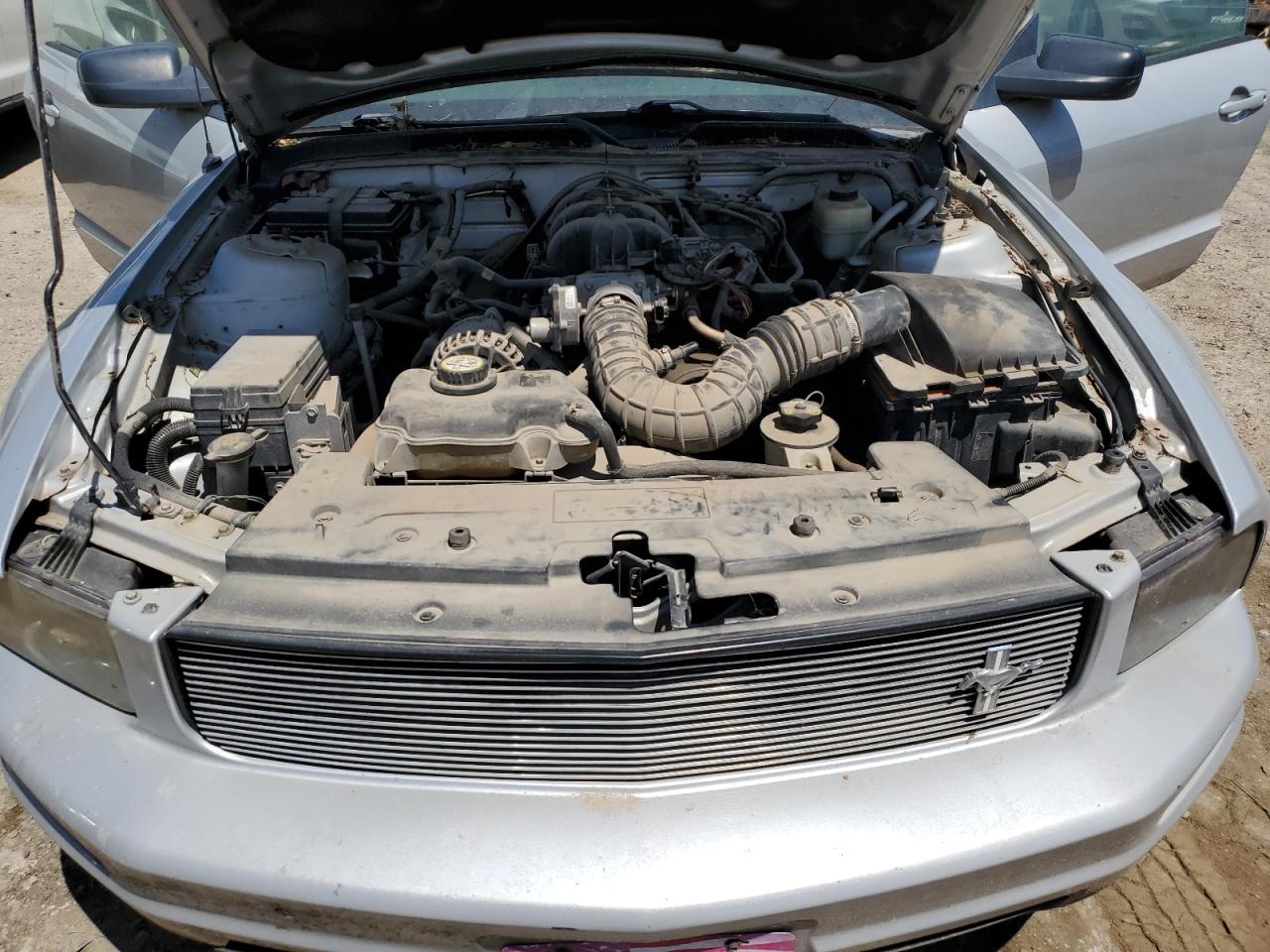 2007 Ford Mustang VIN: 1ZVFT80N175326024 Lot: 63928725