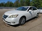 2011 LEXUS ES 350   à vendre chez Copart ON - COOKSTOWN