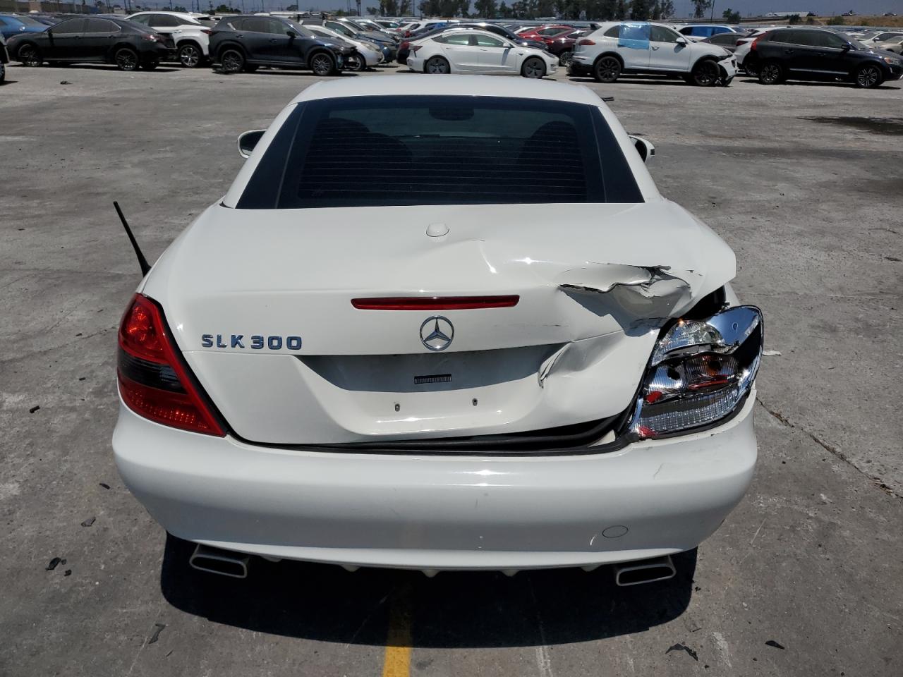 2010 Mercedes-Benz Slk 300 VIN: WDBWK5EA0AF232677 Lot: 64066045